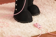 「Fender x Hello Kitty 50th Anniversary Collection」告知動画より。