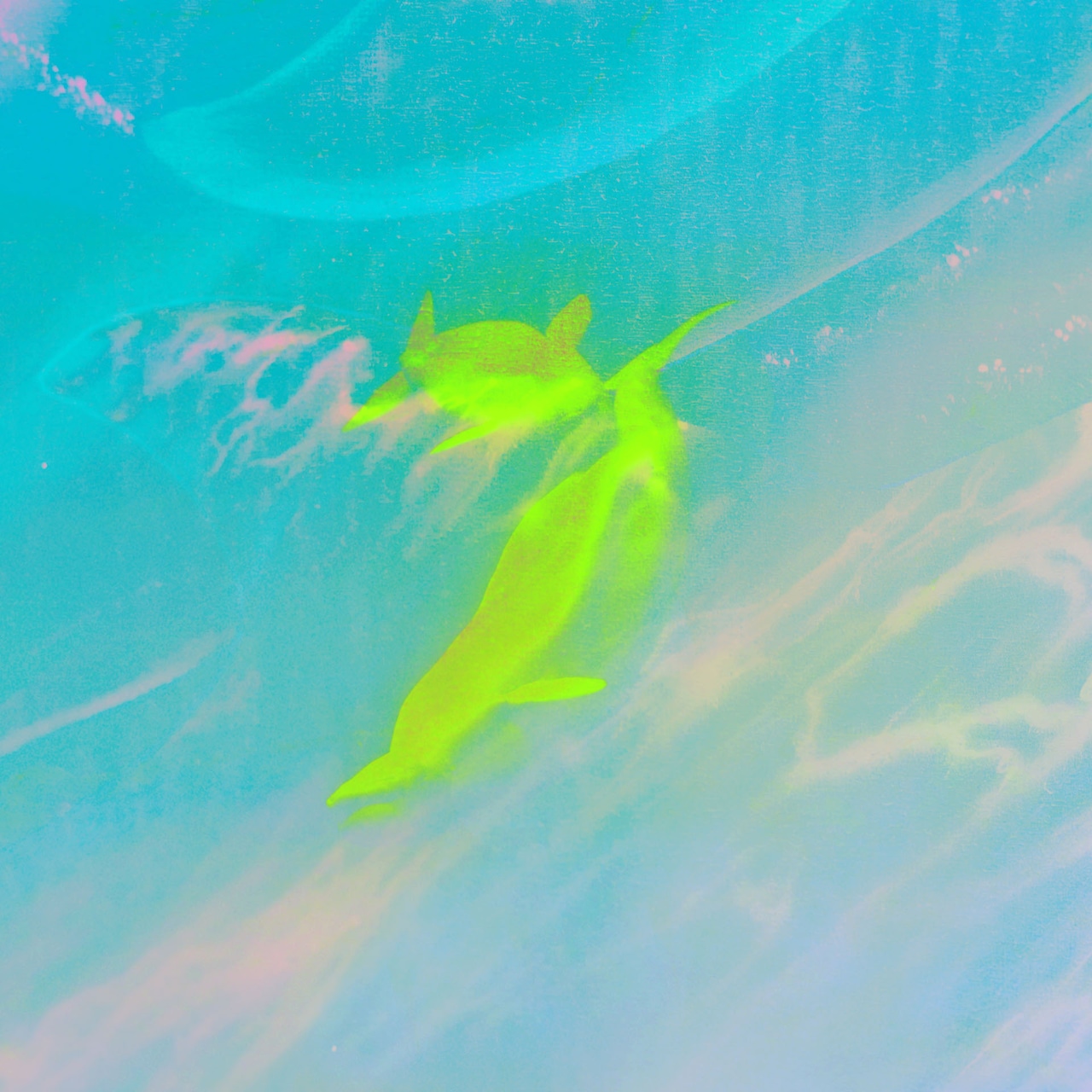 青葉市子のニューアルバム発売日と収録曲発表、新曲先行配信 キャリア