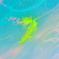 青葉市子「Luciférine」配信ジャケット