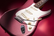 「Char Stratocaster(R) Burgundy」外観