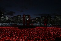 イルミネーション点灯の瞬間。