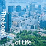 fhána「The Look of Life」通常盤ジャケット