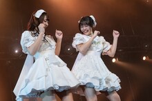 じゃれ合う清ゆな（左）と清さきな（右）。