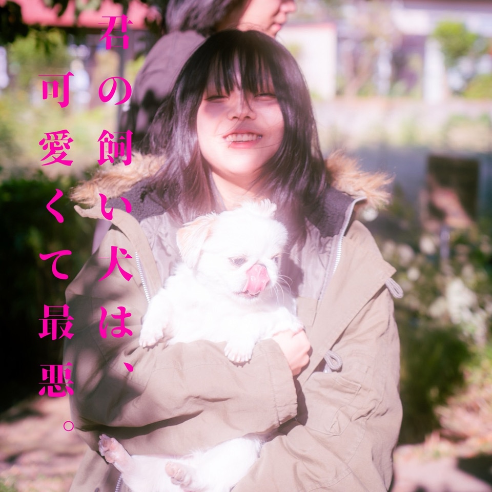 超☆社会的サンダル「君の飼い犬は、可愛くて最悪。」ジャケット