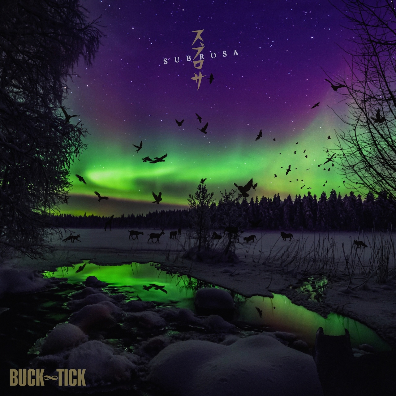 【本日特価】 BUCK-TICK「スブロサ SUBROSA」アナログ盤ジャケット BUCK - ミュージシャン