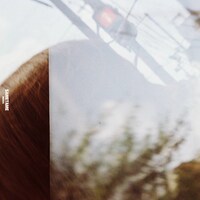 NERDS「さめため」配信ジャケット