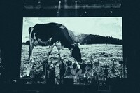 新東京「NEOVERSE」の様子。（撮影：久保寺美羽）