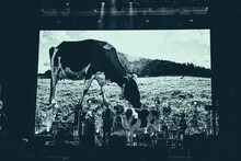 新東京「NEOVERSE」の様子。（撮影：久保寺美羽）