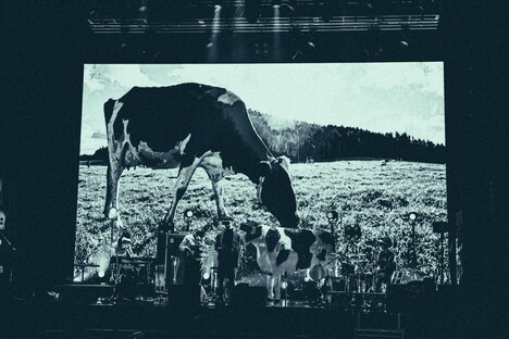 新東京「NEOVERSE」の様子。（撮影：久保寺美羽）