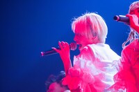 天沢璃人（でんぱ組.inc）