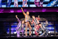 純烈初の武道館ワンマンライブの様子。