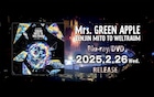 Mrs. GREEN APPLE横浜スタジアム公演が映像作品化、83分におよぶドキュメンタリーも収録