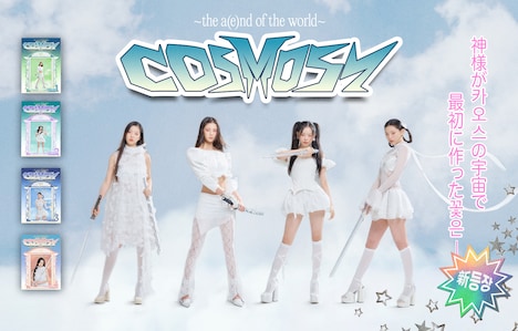 cosmosy