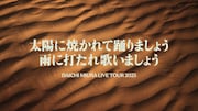 「DAICHI MIURA LIVE TOUR 2025 太陽に焼かれて踊りましょう 雨に打たれ歌いましょう」ビジュアル