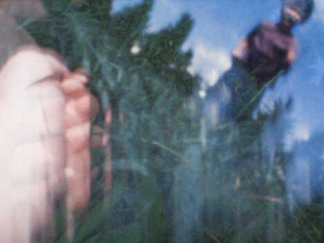 「ない、あるいはひかりのような」場面写真