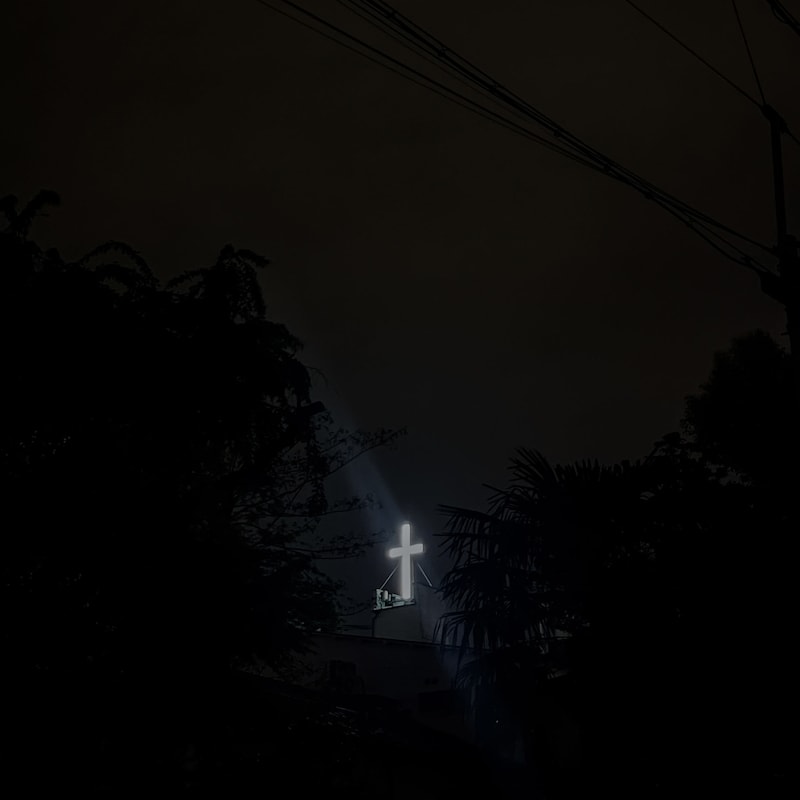 君島大空「Lover」配信ジャケット