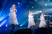 「RYUTist LAST HOME LIVE ありがとね、ほんとにね。」の様子。