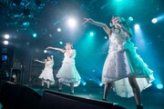 「RYUTist LAST HOME LIVE ありがとね、ほんとにね。」の様子。
