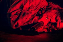 HYDE（Photo by Takayuki Okada）