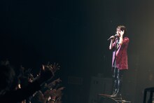 山本彩（撮影：日吉“JP”純平）