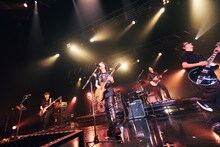 山本彩（撮影：日吉“JP”純平）