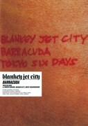 BLANKEY JET CITY「Are You Happy?」ジャケット