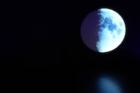 ØMI「Moonlit Room」の様子。