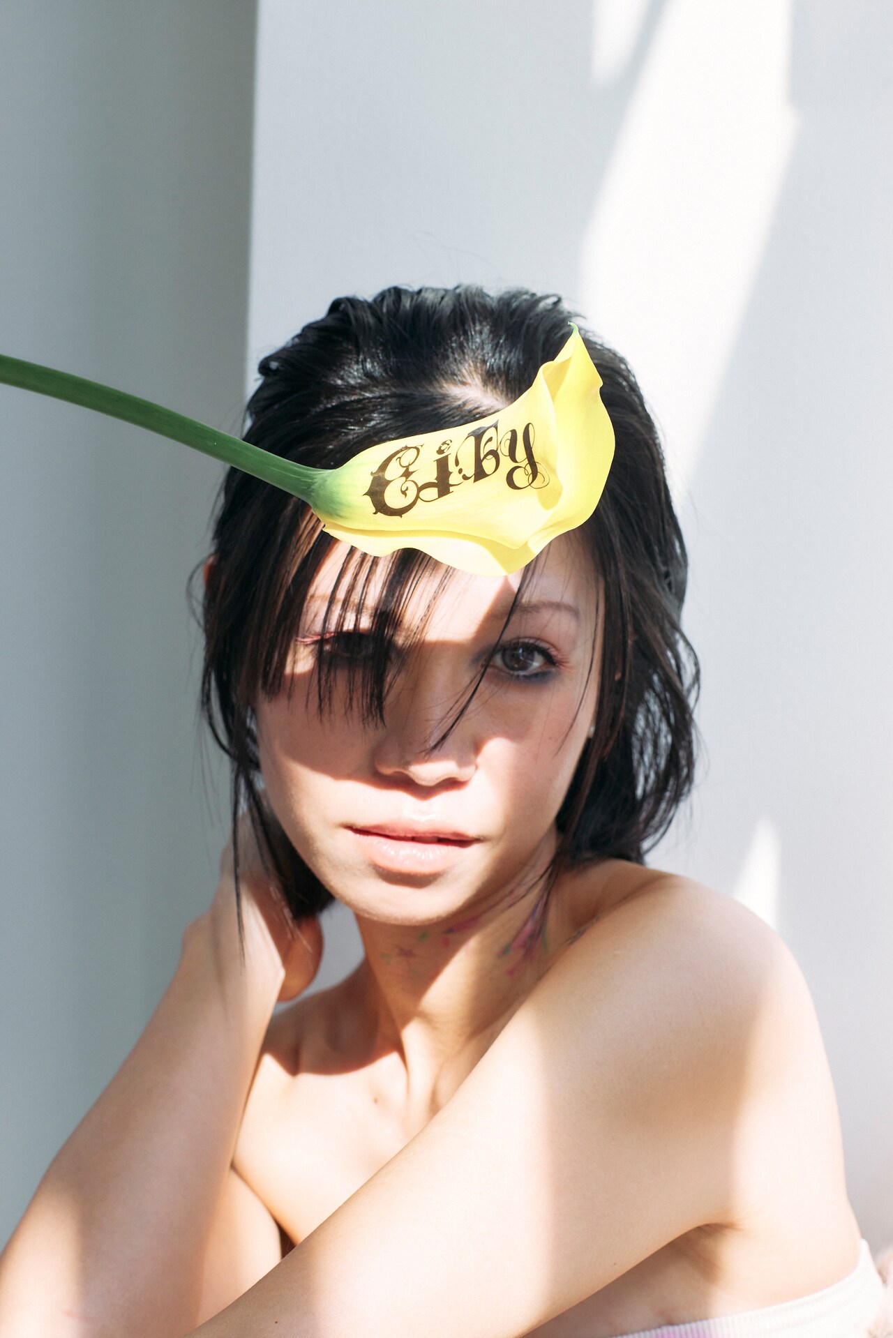 LISACHRIS新EPにA VIRGIN、Cwondo、lllI参加　レコ発の売り上げは自然環境復元協会に寄付