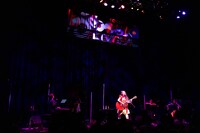 11月に行われたビルボードツアー「Billboard Live Tour 2024 “miwa CLASSIC IV”」より。