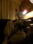 愛猫と一緒に作曲？