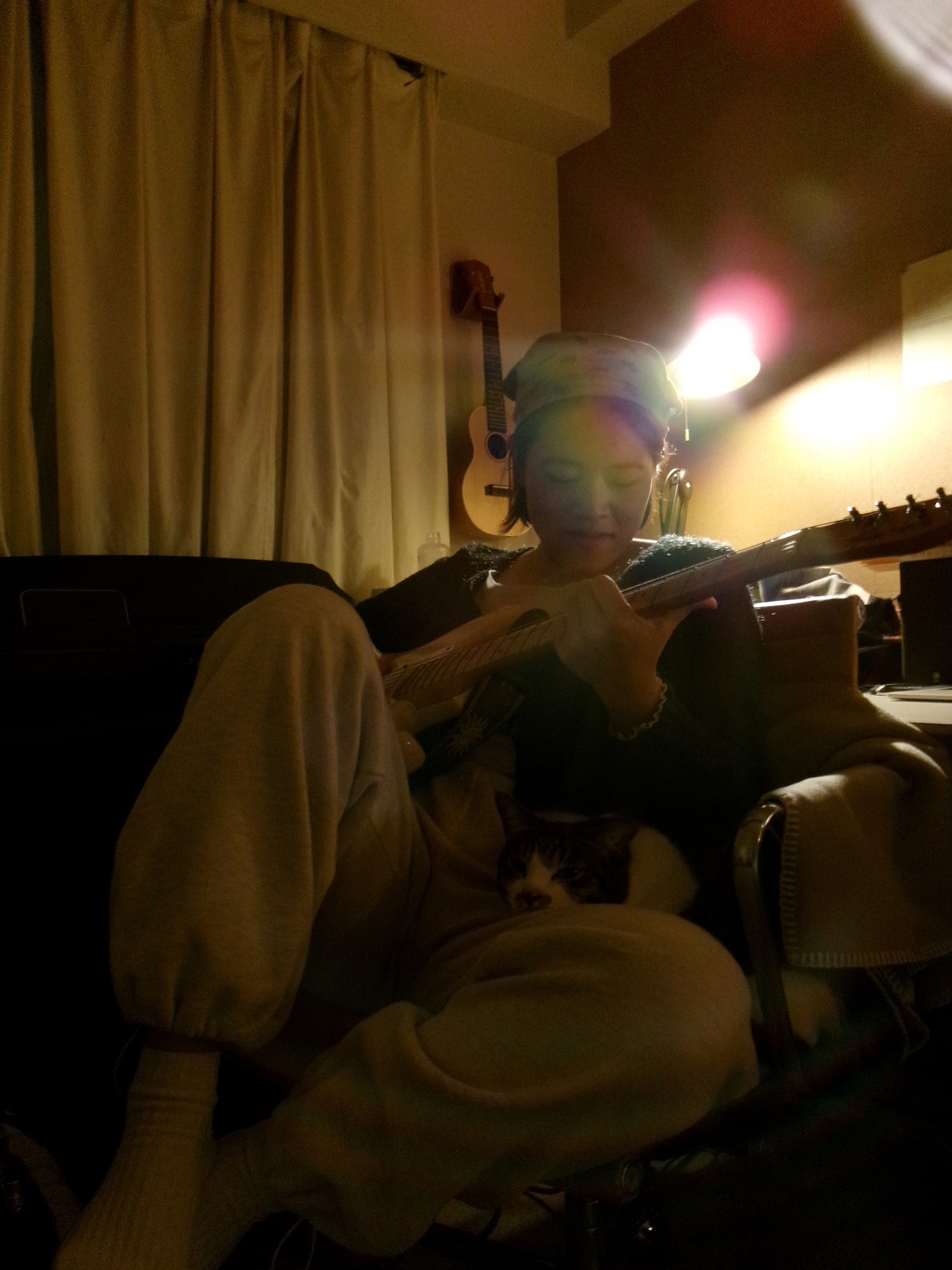 愛猫と一緒に作曲？