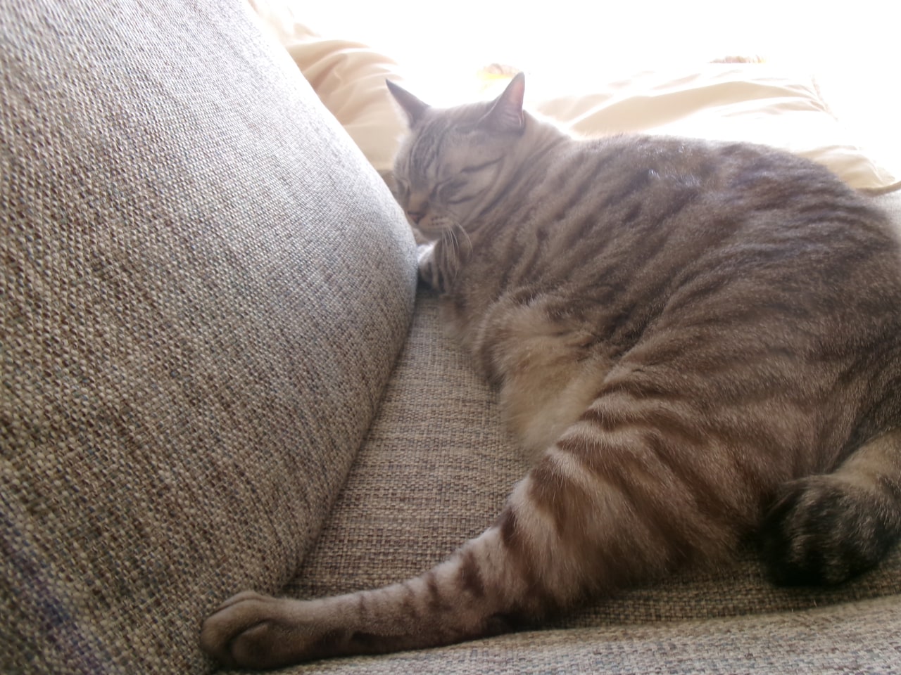 優河さんのことを愛してやまないひびくん。