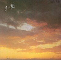 谷村新司「黒い鷲」ジャケット