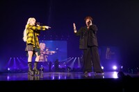 香取慎吾と乃紫のコラボの様子。