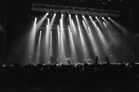 家主のライブの様子。（撮影：今井駿介）