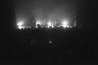 the pillowsのライブの様子。（撮影：今井駿介）