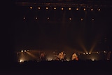 the pillowsのライブの様子。(撮影:今井駿介)