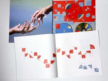 V.A.「Salyu 20th Anniversary Tribute Album "grafting"」初回限定盤のパッケージ画像。