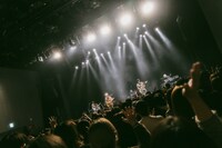 Sakurashimeji（撮影：鈴木友莉）