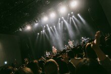 Sakurashimeji（撮影：鈴木友莉）