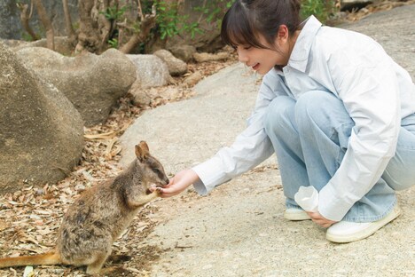 ケアンズ郊外の自然公園で野生のロックワラビーに餌をあげる与田祐希。（撮影：細居幸次郎）