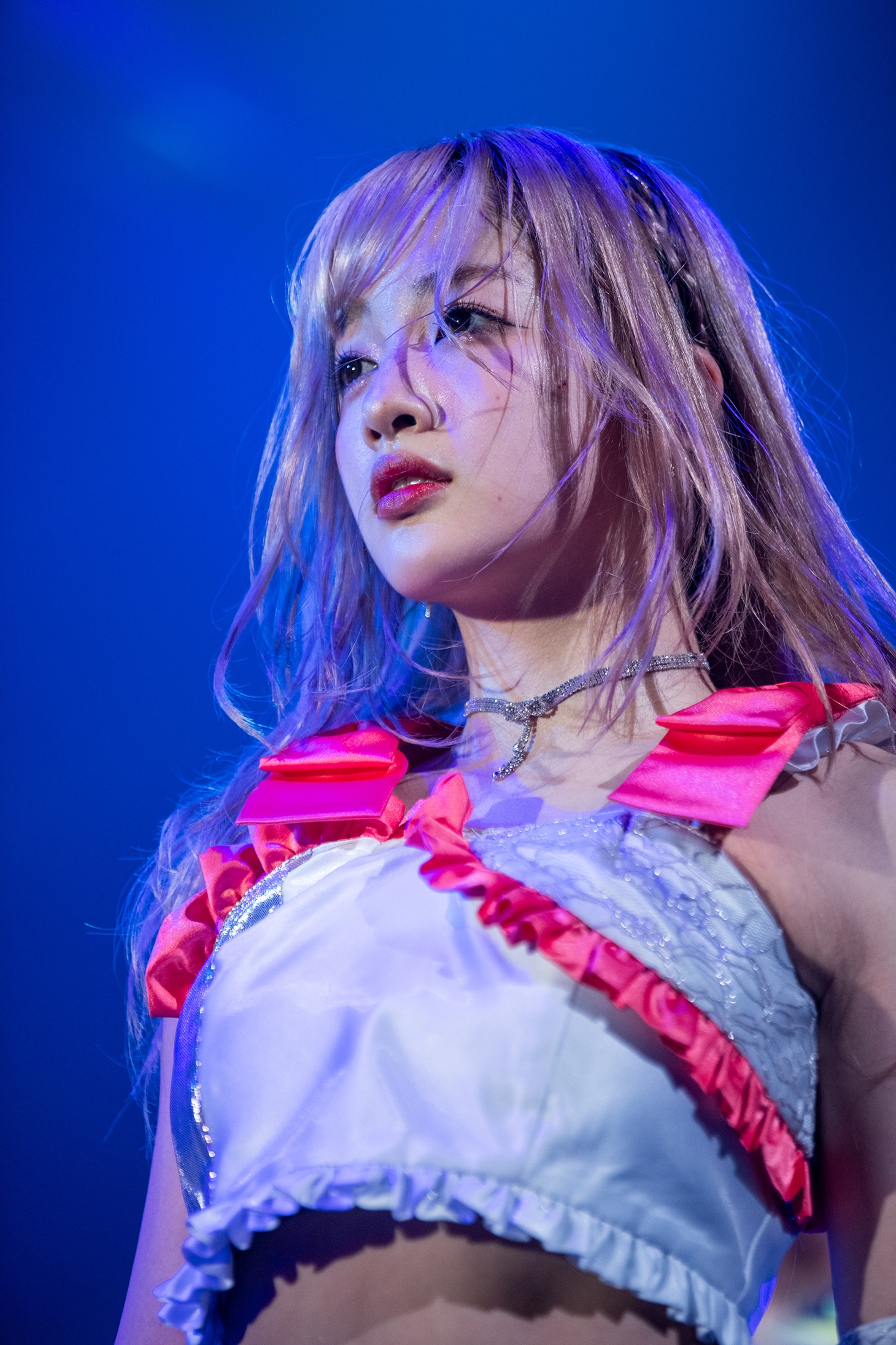 桜木心菜