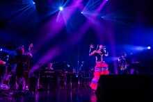 「真山りか生誕ソロライブ『まやまにあ-Level.9-』」の様子。