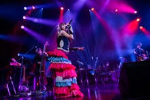 「真山りか生誕ソロライブ『まやまにあ-Level.9-』」の様子。