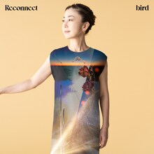 bird「Reconnect」通常盤ジャケット