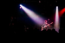 佐々木直人（B, Vo  / リアクション ザ ブッタ）（撮影：松本いづみ）