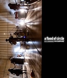 a flood of circle「a flood of circle デビュー15周年記念公演"LIVE AT 日比谷野外大音楽堂"」ジャケット