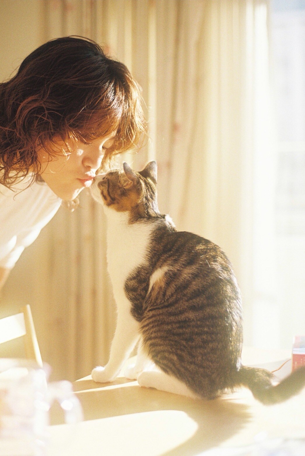 優河の日常を支える3匹の愛猫、そして忘れえぬミュウくんのこと