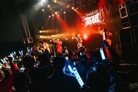 豆柴の大群都内某所 a.k.a. MONSTERIDOL