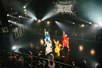 豆柴の大群都内某所 a.k.a. MONSTERIDOL